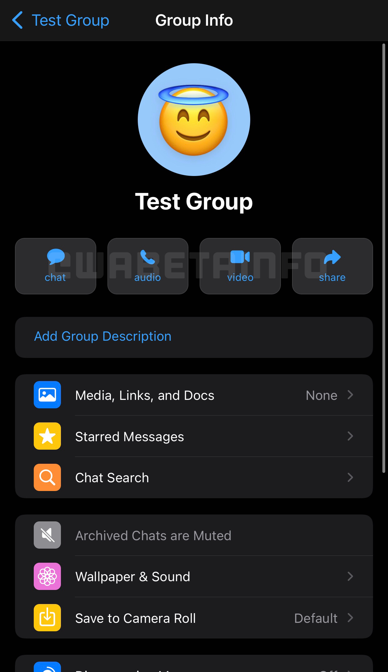 WhatsApp-gruppinformationssektion