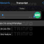 WhatsApp transcriere mesaje vocale
