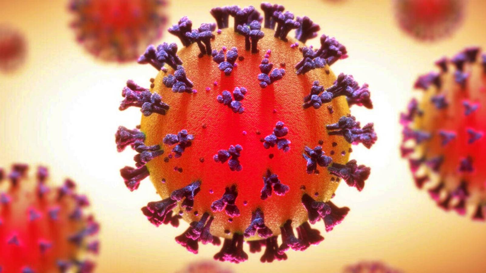 Coronavirus Rumænien Stor stigning i antallet af inficerede 25. oktober 2021