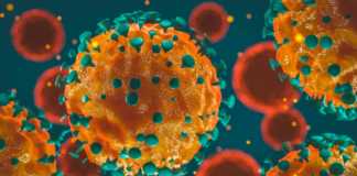 Coronavirus Rumänien Nytt antal infektioner 27 oktober 2021
