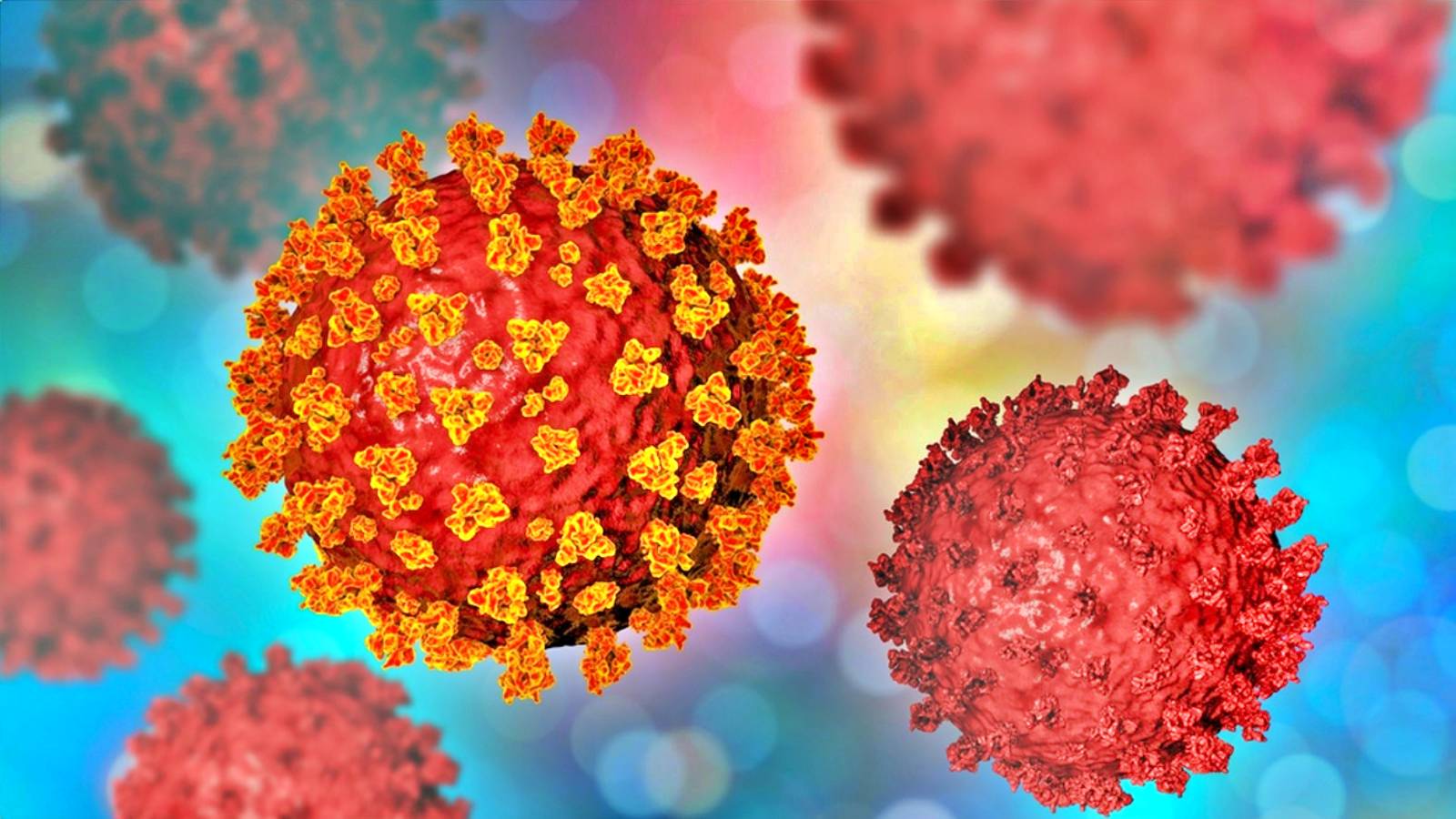 Coronavirus Rumänien Die große Zahl der Infektionen vom 2. Oktober 2021