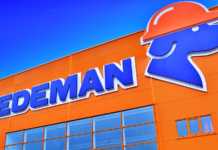 DEDEMAN plant