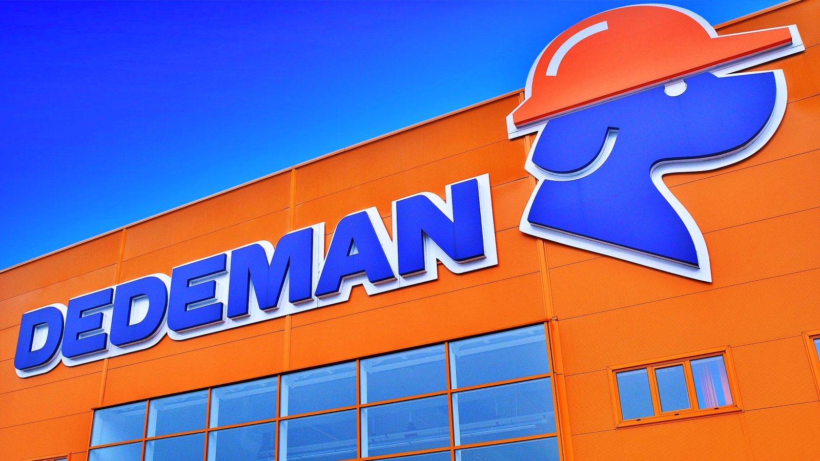 DEDEMAN plant