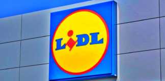 LIDL Wschodnia Rumunia