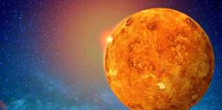 Planeten Venus fotosyntetiseras