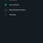 WhatsApp contacts exemption