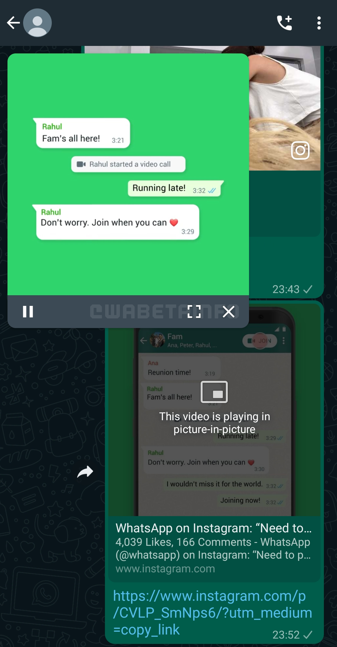 WhatsApp suprapus video