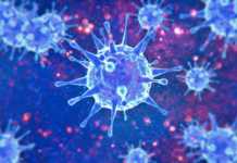 Coronavirus Romania Nou Numar Cazuri Inregistrate 20 Noiembrie 2021