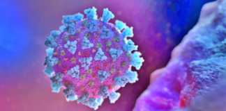 Coronavirus Romania Number of New Cases Announced November 25, 2021