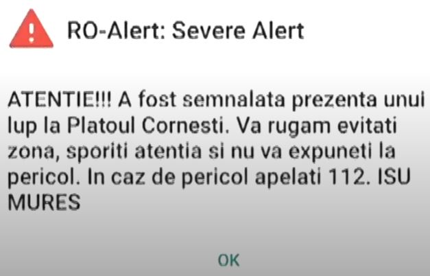 RO-ALERT Alerta Lupul Caine nervi
