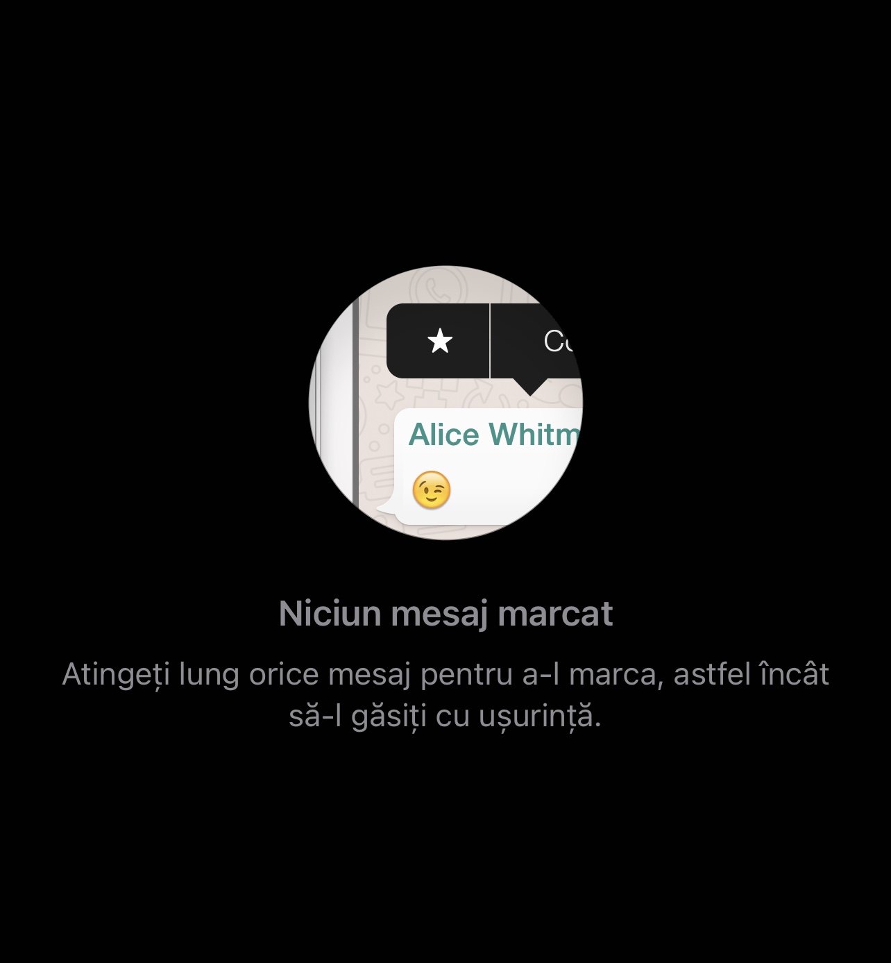 WhatsApp stelute restrictie marcaj