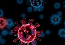 COVID-19 Falsul Film Omicron si Realitatea din Spatele Minciunii