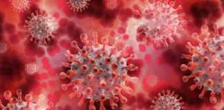 COVID-19 Gripa Comparatia Simptomelor Generate Infectare