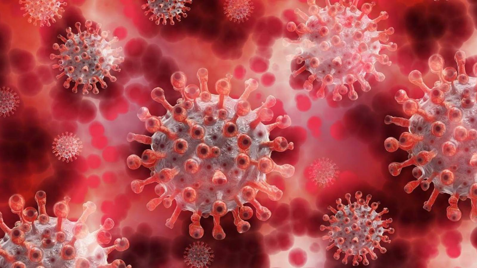 COVID-19 Gripa Comparatia Simptomelor Generate Infectare