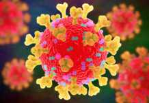 Coronavirus Romania Cate Cazuri Noi Confirmate 13 Decembrie 2021