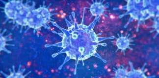 Coronavirus Roumanie Nouveau nombre de nouveaux cas 8er décembre 2021