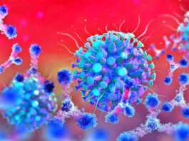 Coronavirus Rumänien Nytt officiellt antal fall 25 december 2021