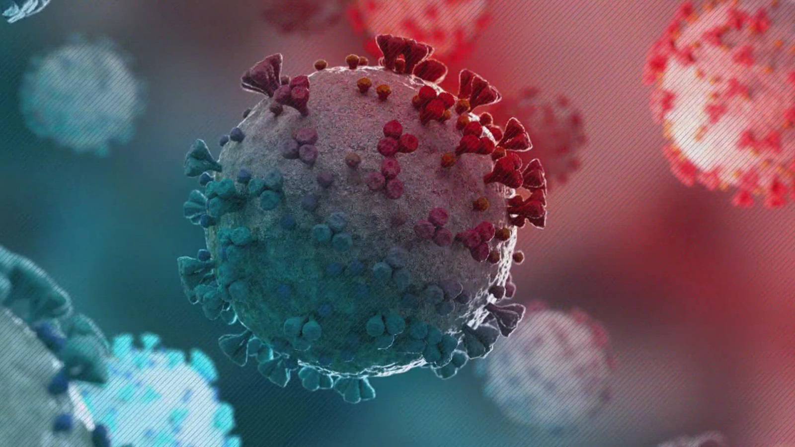 Coronavirus Rumänien Neue Nummer für neue Fälle bekannt gegeben, 28. Dezember 2021