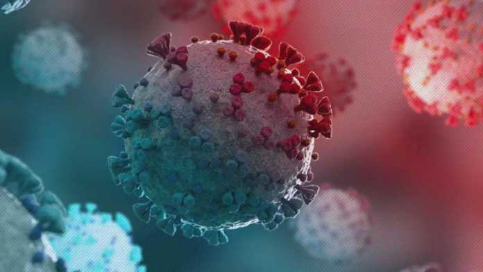 OMS Mesajul Atentionare Romani Privind Coronavirus OMS Mesajul Atentionare Romani Privind Coronavirus