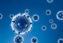 Coronavirus Romania New Number of New Cases January 29, 2022