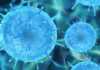 Coronavirus Romania Noul Numar Cazurilor Confirmate 22 Ianuarie 2022