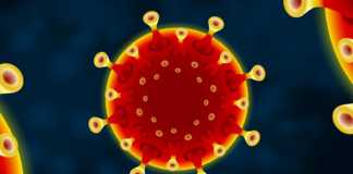 Coronavirus Rumänien Neue Zahl neuer Fälle 18. Januar 2022