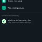 WhatsApp comunitati iphone android grupuri