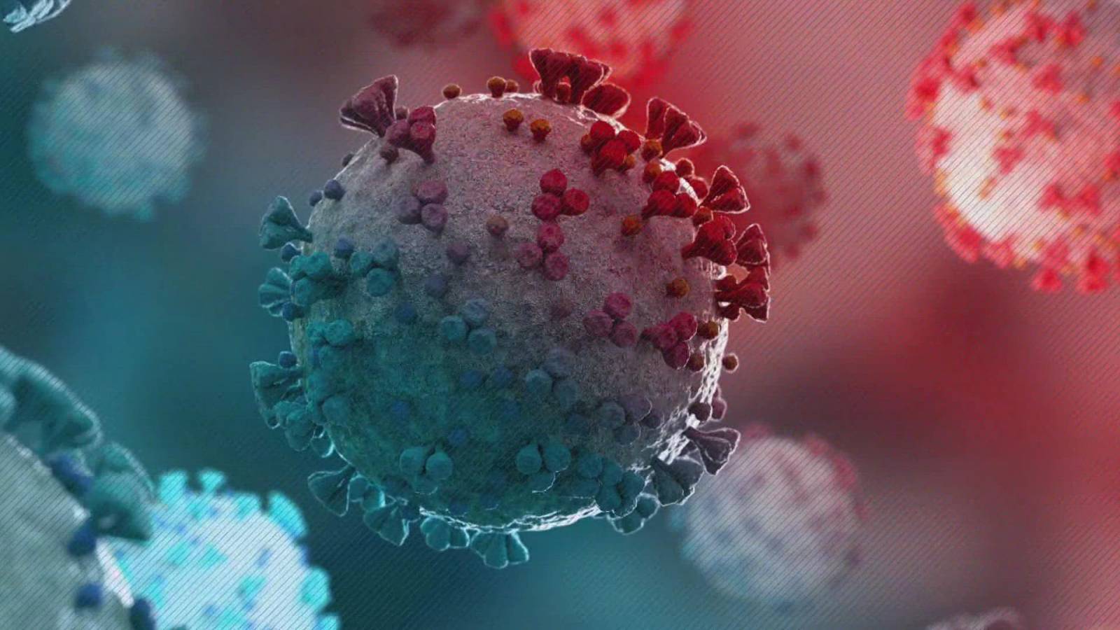 Coronavirus-effekter av falsk information på Facebook