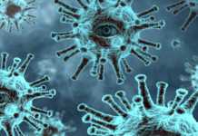 Coronavirus Romania: Numarul Cazurilor Noi Anuntat in 21 Februarie 2022 Coronavirus Romania Numarul Cazurilor Noi Anuntat 21 Februarie 2022