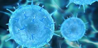 Coronavirus Rumänien bekräftat antal nya fall 22 februari 2022