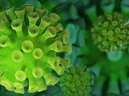 Coronavirus Romania Numarul Nou Cazurilor Noi 27 Februarie 2022