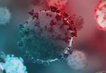 Infectarea COVID-19 Ratele Spitalizare Randul Tinerilor