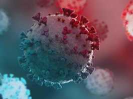 Infectarea COVID-19 Ratele Spitalizare Randul Tinerilor