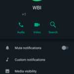 WhatsApp Noua Schimbare Aplicatia iPhone Android cautari profil