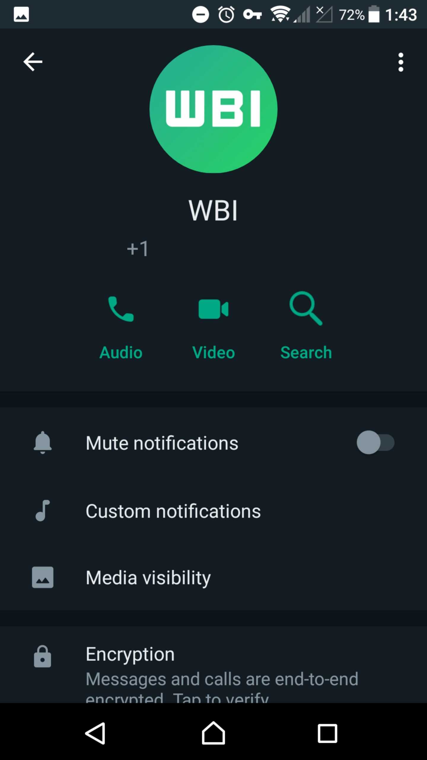 WhatsApp Nuevo Cambiar Aplicación iPhone Android perfil de búsqueda