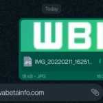 WhatsApp SECRETUL Dezvaluit Aplicatia Android iPhone documente