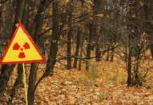 Soldatii Rusi au Ridicat Praf Radioactiv in Aer in Padurea Rosie de la Cernobyl Soldatii Rusi au Ridicat Praf Radioactiv in Aer in Padurea Rosie de la Cernobyl