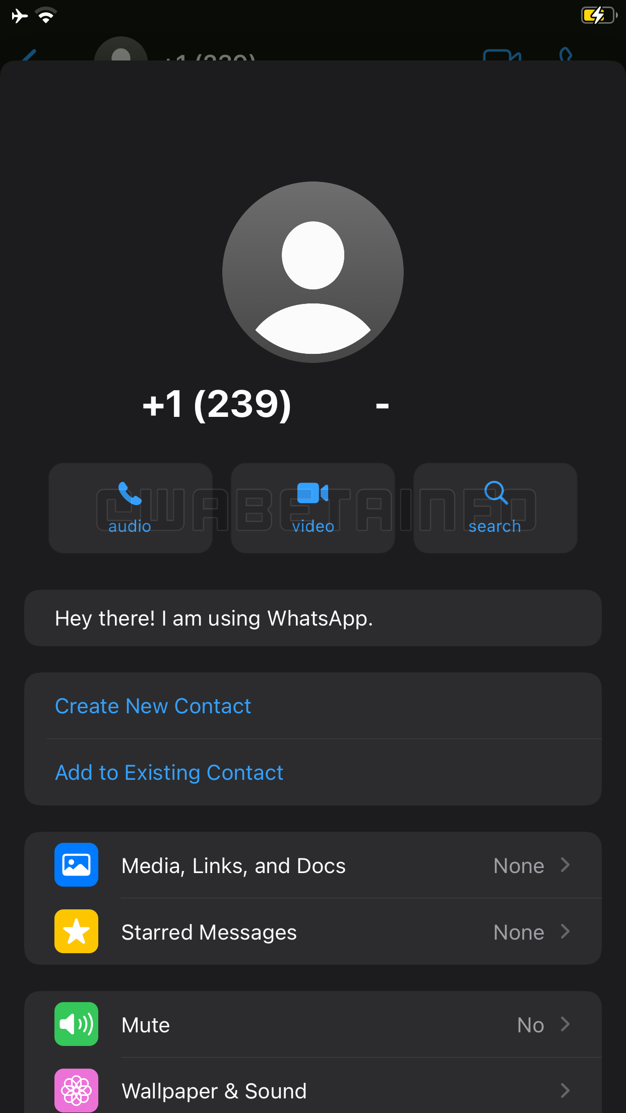 WhatsApp Importanta Schimbare SECRETA iPhone Android interfata contacte