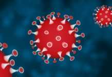 Coronavirus Romania Numarul Nou Cazurilor Noi 23 Aprilie 2022