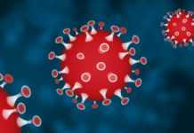 Romanian koronavirus uusien tapausten määrä 23