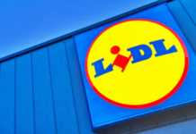 LIDL Romania LAST Days FREE Any Romanians