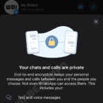 WhatsApp Notificare securitate iphone android sectiune