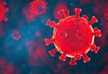 Coronavirus Romania Noul Numar Cazuri Noi 19 Mai 2022