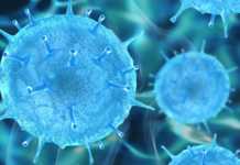 Coronavirus Romania New Number of New Cases May 10, 2022