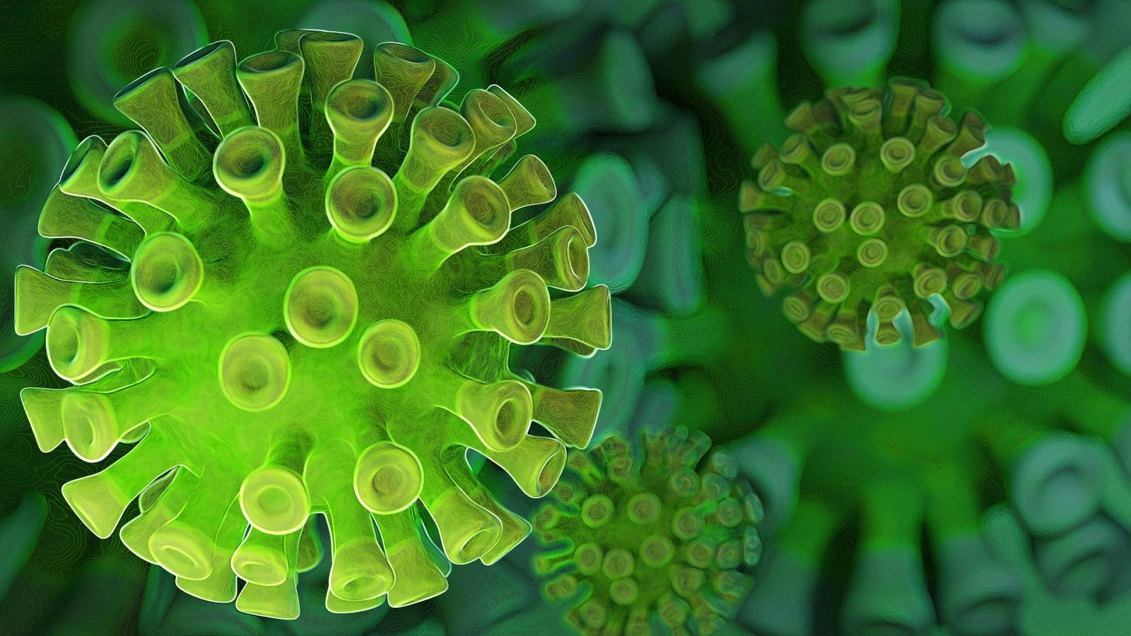 Coronavirus Romania Nuovo numero di nuovi casi 24 maggio 2022