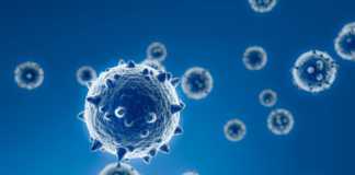 Coronavirus Romania New Number of Cases May 11, 2022