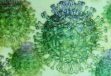 Coronavirus Romania: Numarul Nou al Cazurilor Confirmate in 23 Mai 2022 Coronavirus Romania Numarul Nou Cazurilor Confirmate 23 Mai 2022