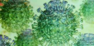 Coronavirus Romania Numarul Nou Cazurilor Confirmate 23 Mai 2022