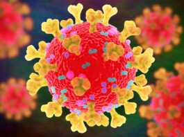 Coronavirus Romania Numarul Nou Cazurilor Noi 20 Mai 2022
