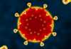 Coronavirus Romania Numarul Nou Cazurilor Noi 22 Mai 2022